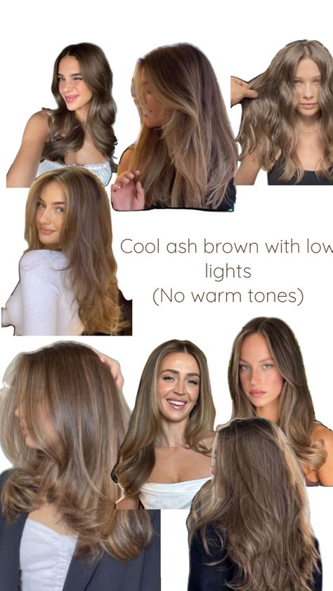 Ash Brown Hair Blue Eyes, Oak Brown Hair, Brown Hair Gloss, Level 6 Brown Hair, Level 6 Hair, 1c Hair, Soft Summer Color Palette, Go Browns, Brown Hair Shades