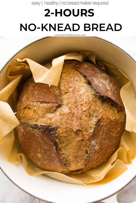 Making bread in a hurry? Try this easy and quick 2 Hour No-Knead Bread. It doesn't require long resting time and the hands-on time is fast as well. This Dutch Oven rustic loaf comes out perfectly crusty, flavorful and healthy. Follow my step-by-step photo instructions to make the best artisan bread ever. Quick No Knead Bread, Sourdough Rye Bread, Ranch In Montana, Sourdough Biscuits, Sourdough Rye, Rye Bread Recipes, Whole Wheat Sourdough, Dutch Oven Bread, Knead Bread Recipe