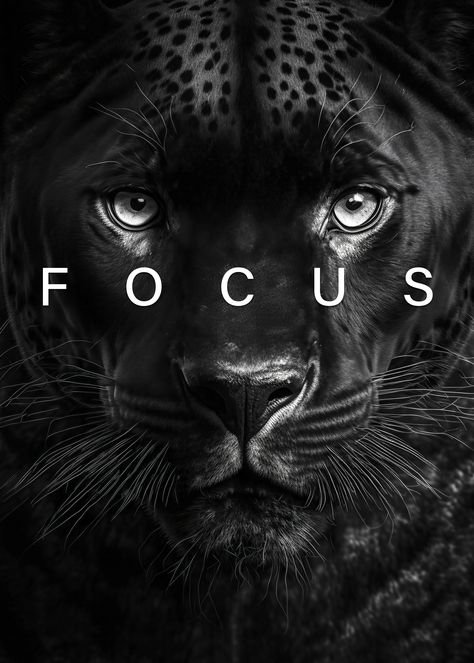 focus black panther poster BUY! Black Panther Quotes, Panther Quotes, Black Panther Animal, Focus Wallpaper, Black Panther Poster, Tiger Quotes, Ebony Magazine Cover, Black Panther Cat, Reflective Accessories