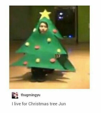 Christmas tree Jun is precious Christmas Memes, Some Things Never Change, Seventeen Memes, Wen Junhui, Seventeen Jun, Funny Kpop Memes, Seventeen Wallpapers, Christmas Icons, Never Change