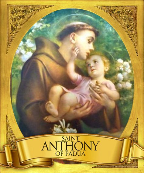 St Anthony of Padua | http://www.saintnook.com/saints/anthony-of-padua/ |https://flic.kr/p/eGbgpp | Anthony of Padua Divine Infant Jesus, St Anthony Of Padua, Padua Italy, Franciscan Friar, Anthony Of Padua, Saint Anthony Of Padua, Catholic Pictures, William Adolphe Bouguereau, St Anthony