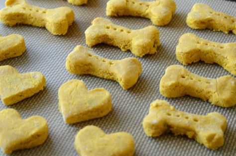 Rice Flour Dog Treats, Dog Treats Homemade Pumpkin, Homemade Pet Treats, Easy Dog Treat Recipes, Dog Pumpkin, Easy Dog Treats, Brown Rice Recipes, Pumpkin Dog Treats, Brown Rice Flour