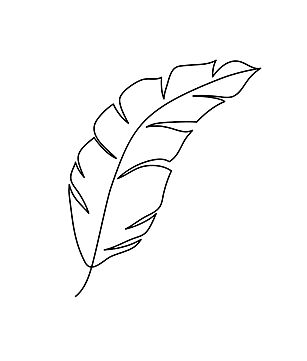 Drawing Leaf, Drawing Summer, Watercolour Leaves, Wing Drawing, Leaves Sketch, Plant Png, Tropical Frames, Hand Png, Leaf Outline