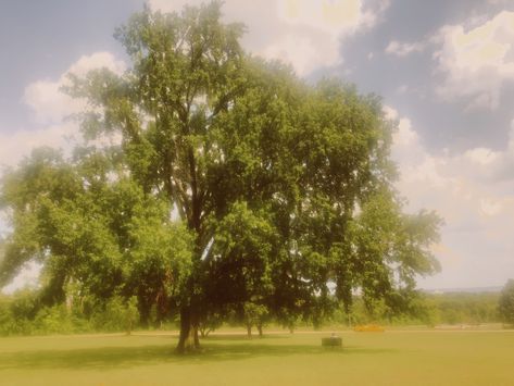 Love Video Aesthetic, Nature Film, Woodland Cottage, Aesthetic Film, Arlington National Cemetery, National Cemetery, Summer Nature, Love Gif, Summer Aesthetic