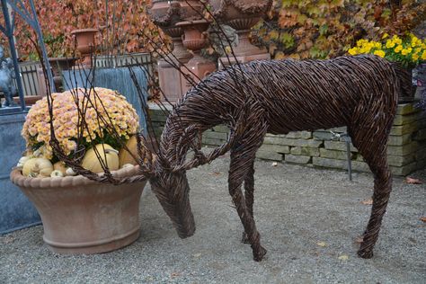 grapevine deer and stone container with white mum and white pumpkins...Debra Silver Green Cauliflower, Unusual Garden Ornaments, Willow Sculptures, Detroit Garden Works, Romanesco Broccoli, Red Twig Dogwood, Pumpkins And Gourds, Deborah Silver, Twig Dogwood