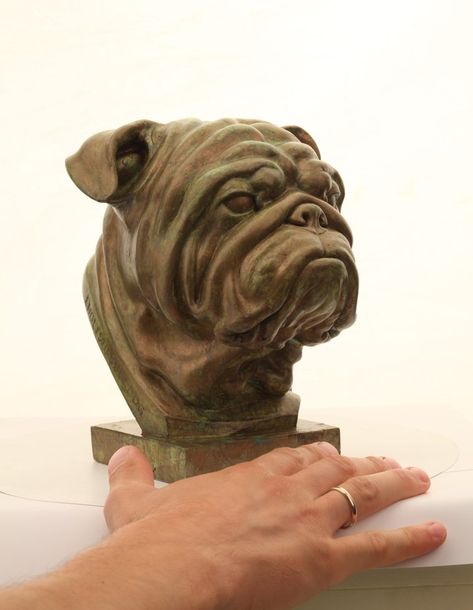 English Bulldog plaster head painted bronze. Made by Liplyandia for Arte Perruno. #bulldog #bulldogart #englishbulldog #dogart #sculpture #plaster #liplyandia #arteperruno Ceramic Dogs, Sculpture Plaster, Bulldog Images, Bulldog Sculpture, Olde English Bulldogge, Modelling Clay, Bulldog Art, Bull Dogs, Bulldog Lover