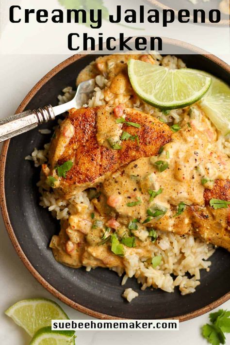 This Creamy Jalapeño Chicken is cooked in a cast iron skillet and is ready in 45 minutes or less. Serve this creamy chicken over brown rice or pasta for the most delicious dinner! Jalepeno Chicken Recipes, Jalapeno Chicken Recipes, Vodka Slushies, Creamy Jalapeno, Chicken Rice Recipes, Quick Soup, Quick Pasta, Jalapeno Chicken, Creamy Recipes