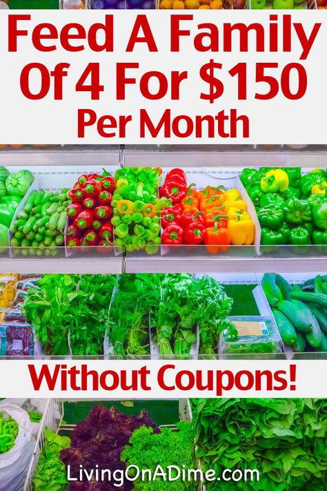 Here is a sample meal plan and shopping list showing how to feed a family of 4 for just $150 per month without using coupons and without shopping at Aldi, since there is no Aldi near me. I used actual store prices from current store ads when preparing this plan. Shopping At Aldi, Cheap Grocery List, Casual Photoshoot, Frugal Meal Planning, Aldi Meal Plan, Cheap Groceries, Recipes On A Budget, Sample Meal Plan, Monthly Meal Planning