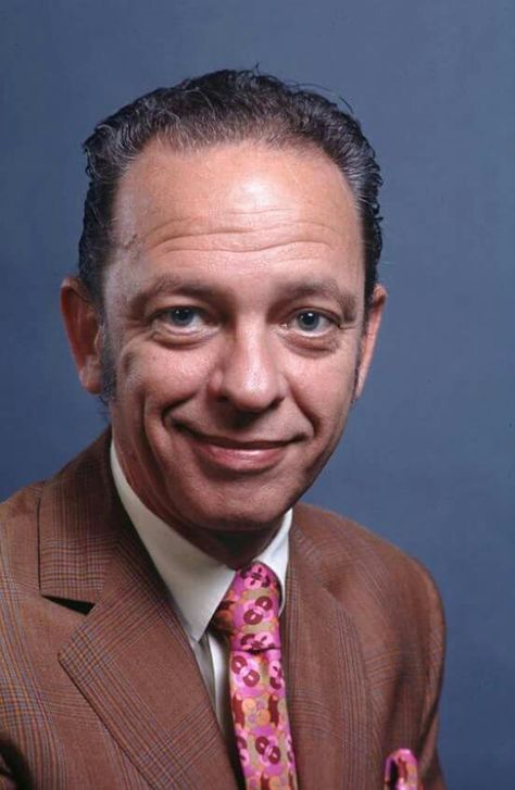 Don Knotts Don Knotts, Tv Guide, Tv Stars, Classic Hollywood, Funny People, Famous People, Movie Stars, Behind The Scenes, The Past