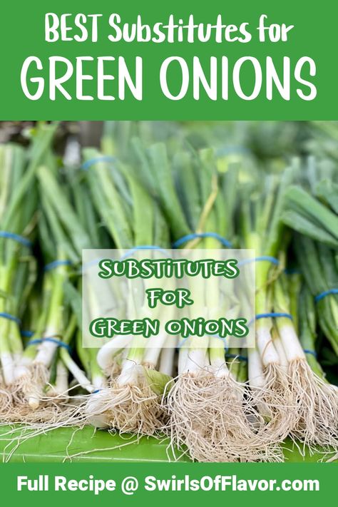 A variety of Substitutes for Green Onions are available when you find yourself wihtout any on hand. You're sure to find a favorite among this list. Scallion substitutes nclude chives, shallots, sweet onions and more!  #greenonionsubstitutes #scallionsubstitutes #swirlsofflavor Spring Garlic, Scallions Recipes, Types Of Onions, Sweet Onions, Onion Bulbs, Creamy Dip, Vidalia Onions, Fresh Chives, Green Onion