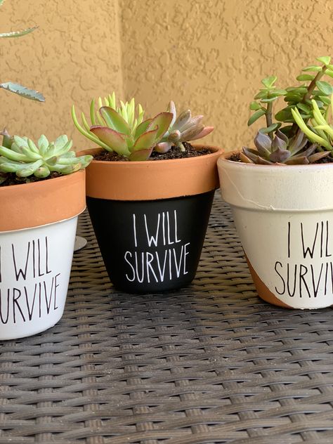 Cricut Flower Pots, Planter Cricut Ideas, Cricut Plant Pot Ideas, Clay Pot Painting Ideas, Plant Pot Vinyl Ideas, Cricut Terra Cotta Pot, Plant Pot Quotes, Quotes To Write On Plant Pots, Plant Pots Crafts