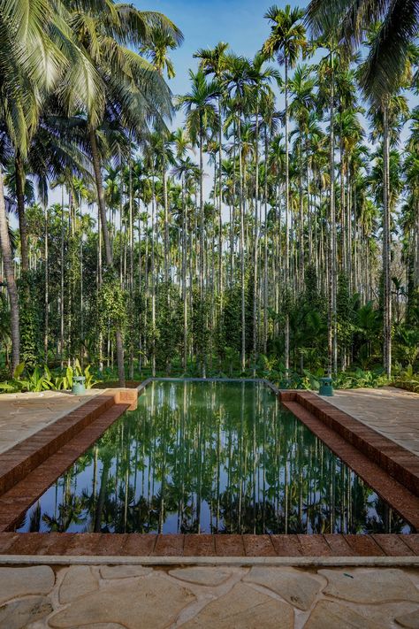 Architecture, nature, and music skilfully intertwine in this weekend home in Kerala | Architectural Digest India Kerala Home, Low Light Indoor Plants, Weekend Home, Architecture Nature, Tile Covers, Kerala Houses, Celebrity Culture, Indian Homes, Small Balcony Ideas