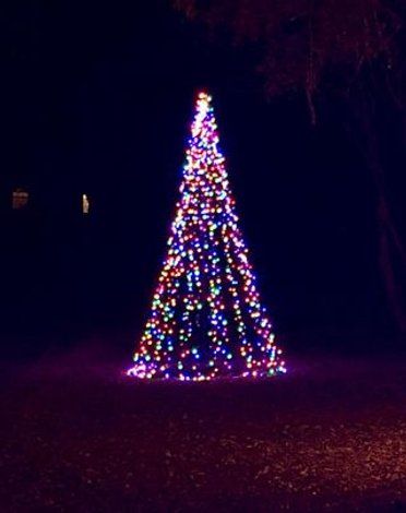 Diy Outdoor Christmas Light Trees, Outside Christmas Tree Lights, Diy Outdoor Lighted Christmas Tree, Christmas Tree Out Of Lights, Outdoor Christmas Tree Ideas, Christmas Tree Made Of Lights, Outdoor Christmas Tree Lights, String Christmas Tree, Outdoor Xmas Tree