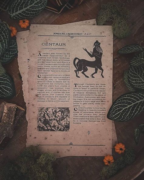 Centaurs Aesthetic, Centaur Aesthetic, Pluto Sagittarius, Archer Oc, Magical Pets, Mystic Aesthetic, Art Igcse, Comic Aesthetic, Leprechaun Gold