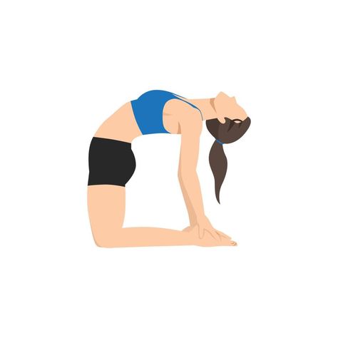 Ustrasana Pose, Camel Pose, Yoga Sequences, Yoga Routine, Free Vector Images, Vector Art, Camel, Vector Images, Vector Free