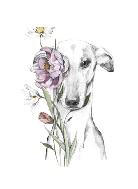 Whippet Tattoo Ideas, Whippet Tattoo, Greyhound Tattoo, Whippet Art, Dog Memorial Tattoos, Dog Portraits Painting, Skateboard Art Design, Greyhound Art, Animal Portraits Art