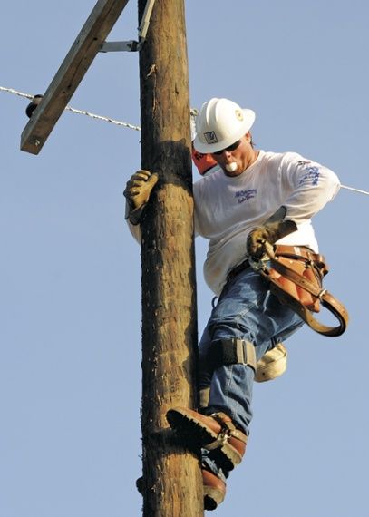 Lumberjack Competition, Pole Climbing, Electrical Lineman, Electric Pole, Power Lineman, Tree Structure, Conifer Trees, Severe Storms, Tree Removal