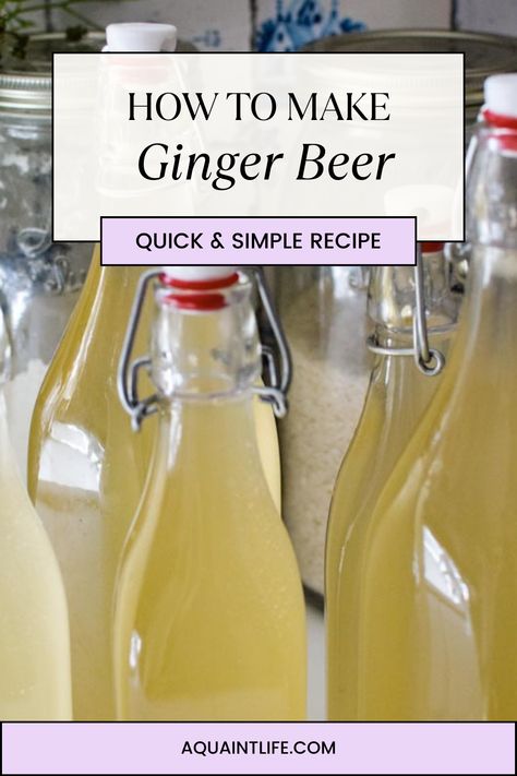 Homemade Ginger Beer Non Alcoholic, How To Make Ginger Beer At Home, Diy Ginger Beer, Homemade Ginger Beer Recipe, How To Make Ginger Beer, Mead Brewing, Making Ginger Beer, Ginger Beer Drinks, Homemade Ginger Beer