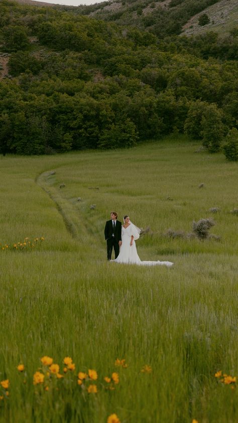 Dress of dreams. ☁️ #weddingdress | Instagram Pasture Wedding Photos, Fall Wedding Pictures, Temple Marriage, 2023 Dress, April Wedding, Instagram Dress, Wedding Photography Styles, Elopement Photos, Types Of Relationships