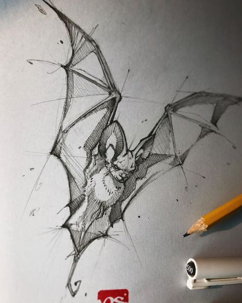 Cool bat tattoo sketch Tier Tattoo, Female Tattoos, Bat Art, Bat Tattoo, Men Tattoos, Pencil Sketch Drawing, Animal Drawings Sketches, 그림 낙서, 문신 디자인