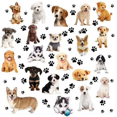 PRICES MAY VARY. Abundant quantity: the package contains 22 pieces dog stickers in various styles and 87 pieces dog paws wall decals in black color, abundant quantity and nice design to decorate the kid's room, teen girl's room, teen boy's room or classroom, etc. Reliable and durable: the dog and paw decals are made of matte finish vinyl material, which is reliable and durable that you can rest assured to use, the decals are not easy to tear and fade, which can serve you for a long time; The dog Wall Diy Decor, Girls Bedroom Themes, Wall Stickers For Kids, Dog Prints, Dog Room, 3d Dog, Wall Diy, Stickers For Kids, Dog Rooms