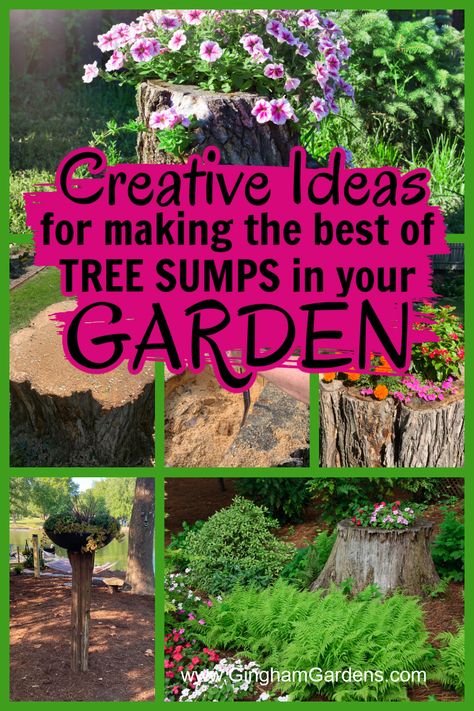 Hollow Stump Ideas, Things To Do With Tree Stumps Diy Projects, What To Do With Logs Tree Stumps, Old Tree Stump Ideas Landscaping, Hiding Tree Stump Ideas, Decorate Tree Stump Ideas, How To Hide A Tree Stump Front Yards, Hiding A Tree Stump, Planting Around A Tree Stump