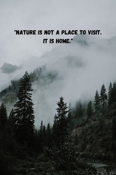 A serene landscape featuring mist-covered mountains and lush pine trees with an inspirational quote, “Nature is not a place to visit. It is home.” Outside Wallpaper, Embrace Quotes, Home In Nature, Wilderness Quotes, Nature Escape, Misty Mountains, Camping Quotes, Place To Visit, Nature Quotes