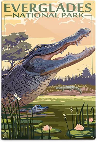 Lantern Press The Everglades National Park, Florida, Alligator Scene (12x18 Aluminum Wall Sign, Wall Decor Ready to Hang) Myakka River State Park, Lata Vintage, Everglades National Park, Retro Kunst, Kiawah Island, Scene Art, Sanibel Island, Retro Art, Hanging Art