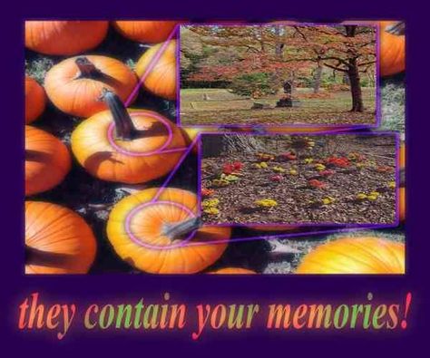 Halloween Nostalgia, Nostalgic Halloween, Gut Wrenching, Time To Rest, Catty Noir, Season Of The Witch, Samhain, Hallows Eve, In The Fall