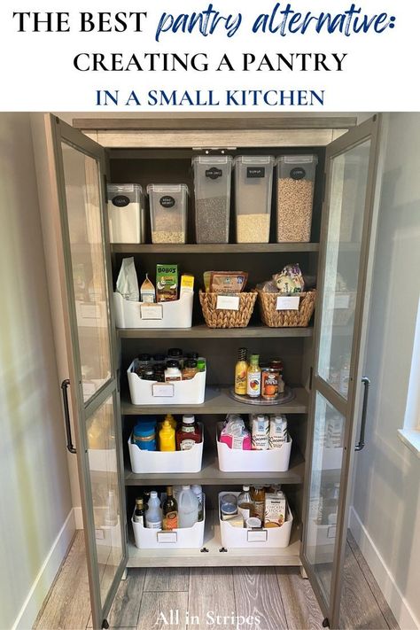 Pantry In A Small Kitchen, Kitchen Food Storage Ideas No Pantry, Creating A Pantry, Pantry Alternatives, Diy Kitchen Pantry, Kitchen Pantry Organization Ideas, Pantry On A Budget, Free Standing Pantry, No Pantry