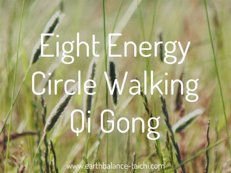 8 Trigrams, Eight Trigrams, Qigong Meditation, Chi Gong, Qigong Exercises, Tai Chi Exercise, Chi Energy, Tai Chi Qigong, Chi Kung