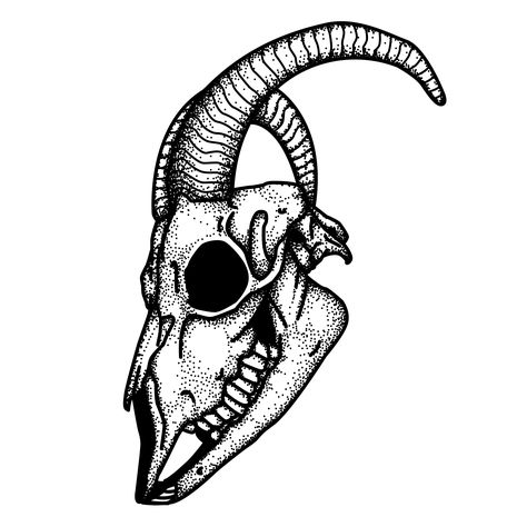 Old School Goat Tattoo, American Traditional Goat, Satanic Goat Skull Tattoo, Sheep Skull Tattoo, Goat Skull Drawing, Goat Skull Tattoo Design, Goat Skull Tattoo, Animal Skull Tattoo, Skull Tattoo Ideas