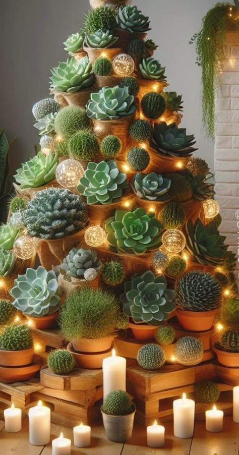 Christmas Salon, Easy Holiday Diy, Cactus Christmas Trees, Christmas Tree Decorating Themes, Christmas Window Display, Summer Christmas, Xmas Deco, Christmas Yard Decorations, Traditional Christmas Tree