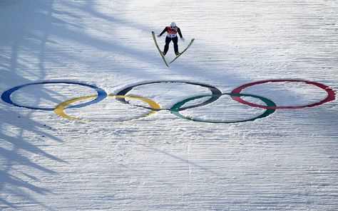 Winter Olympics 2014 Winter Olympics Aesthetic, Olympics Aesthetic, Sochi Russia, Ski Jumping, Winter Olympics, Sochi, Cross Country, Olympic Games, Austria