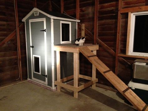 Cat/ dog house Pet Diys, Outside Cat House, Outdoor Cat Shelter, Walk Dog, Cat Fun, Cat House Diy, Feral Cat, Dog Fun, Outdoor Cat