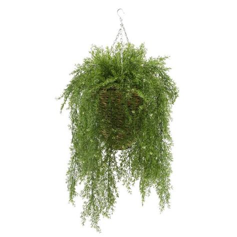 44'' Faux Ivy Plant in Basket Ivy Plant Indoor, Plants 101, Plants In Baskets, Ivy Plant, Topiary Plants, Plant Indoor, Asparagus Fern, Artificial Plants And Trees, Ivy Plants