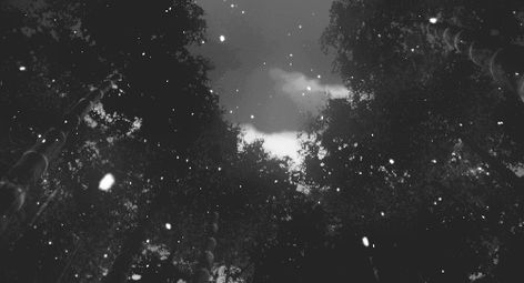 Winter Snow Animated Gifs at Best Animations Snow Falling Gif, Falling Gif, Anime Snow, Rain Gif, Snow Gif, Concept Art Gallery, Banner Gif, Hades And Persephone, Dark Winter