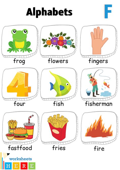 Alphabet F Words with Pictures, Letter F Vocabulary with Pictures - WorksheetsHere.com F Words For Kids, Letter A Words, F Alphabet, Words List, Word F, F Pictures, Alphabet Words, Letter N Words, Picture Letters