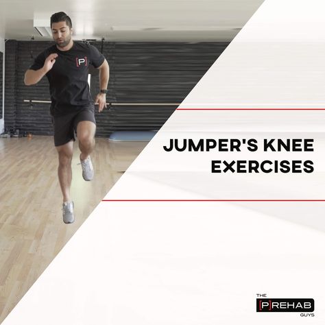 Jumper’s Knee Exercises Single Leg Press, Jumpers Knee, Patellofemoral Pain Syndrome, Thigh Muscles, Knee Exercises, Leg Press, Leg Work, Lower Leg, Athletic Performance