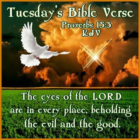 TUESDAY'S BIBLE VERSE: Proverbs 15:3 (1611 KJV !!!!) " The eyes of the LORD are in every place, beholding the evil and the good." MAY OUR LORD GIVE YOU A WONDERFUL DAY !!!! Tuesday Bible Verse, Easter Inspirational Quotes, Bible Verse Proverbs, Bible Proverbs, Bible Verse For Today, Scripture For Today, King James Bible Verses, Tuesday Quotes, Biblical Womanhood