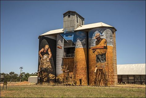 NSW SILO ART TRAIL TOURS Installation Street Art, Australian Road Trip, Grain Silo, Water Towers, Amazing Street Art, 3d Street Art, Murals Street Art, Building Art, Big Art