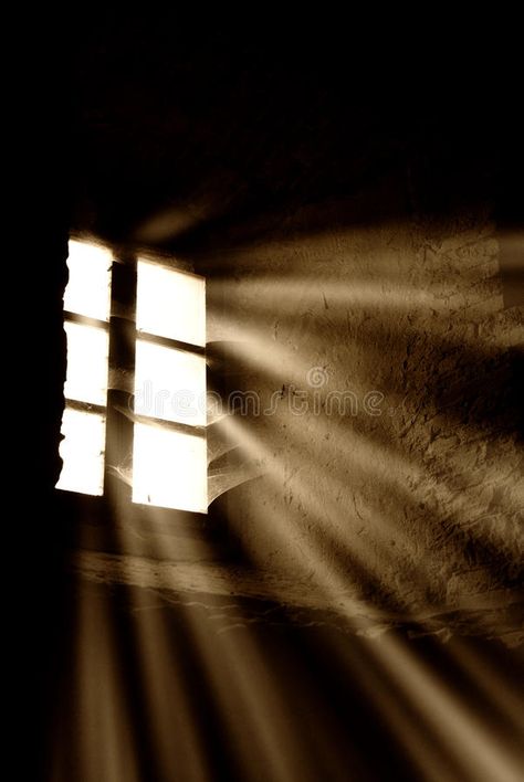 Light from the window. Light rays through the window , #sponsored, #Light, #window, #rays #ad Light Window, Church Window, Plant Window, Artsy Background, Shadow Art, Window Light, Light Rays, Nice Place, Ap Art