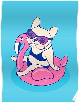 Frenchie enjoys Summer on Flamingo Pool Float in swimming pool Poster Pool Party Artwork, Ugly Puppies, Pool Drawing, Flamingo Pool Float, Flamingo Pool, Cute French Bulldog, Rock Ideas, Enjoy Summer, Painted Rock