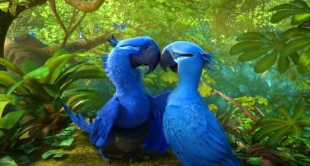 Love parrots - Other Wallpaper ID 1783704 - Desktop Nexus Abstract Film Rio, Rio Movie, Blue Sky Studios, Blue Macaw, Rio 2, Diamond Dotz, Diamond Paintings, Halloween Bags, Tumblr Wallpaper