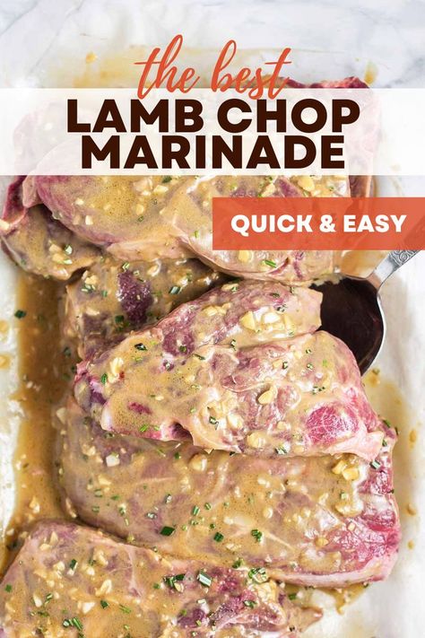 Raw lam chops in a baking tray smothered in a creamy marinade. Grilled Lamb Chops Marinade, Lamb Steak Marinade, Dijon Mustard Marinade, Lamb Steak Recipes, Easy Lamb Chops, Lamb Loin Chop Recipes, Lamb Chops Marinade, Mustard Marinade, Lamb Roast Recipe