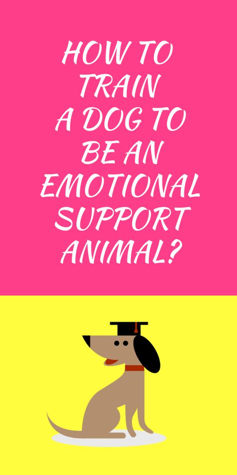 How To Train An Emotional Support Dog, Training An Emotional Support Dog, Esa Dog Training, Emotional Support Dog Training, Esa Dog, Dog Therapy, Therapy Dog Training, Cavapoo Dogs, Train A Dog