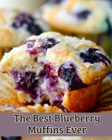 Quick Brunch Ideas, The Best Blueberry Muffins, Dessert Coconut, Quick Brunch, Blueberry Muffin Recipe, Brunch Dessert, Best Blueberry Muffins, Blueberry Desserts, Slow Cooker Desserts