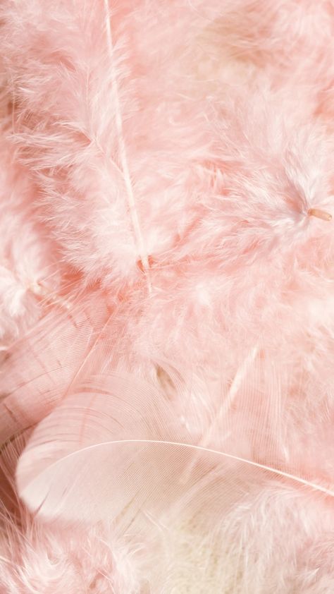 Pale Pink Aesthetic, Floral Wallpaper Phone, Bubble Gum Pink, Iphone Backgrounds, Pink Feathers, Mom Day, Beautiful Backgrounds, Healthy Skin Care, Phone Themes