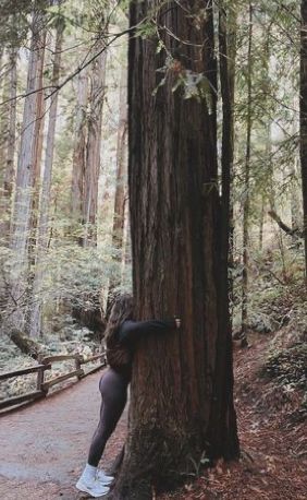 Hiking Selfies Instagram, Hiking Astethic Outfits, Redwoods Outfit, Redwoods Hiking Outfit, Muir Woods California Outfit, Hicking Outfits Aesthetic, Hike Aesthetic Winter, Fall Hiking Pictures, Hiking Asethic