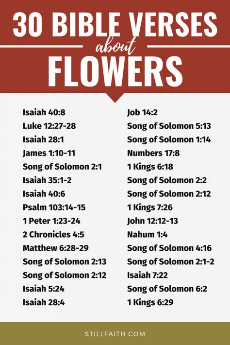 Bible Verses About Flowers, Flowers In The Bible, Biblical Flowers, Verses About Flowers, Bible Flowers, Bible Charts, Prayer Bible, Scripture Writing Plans, Scripture Writing